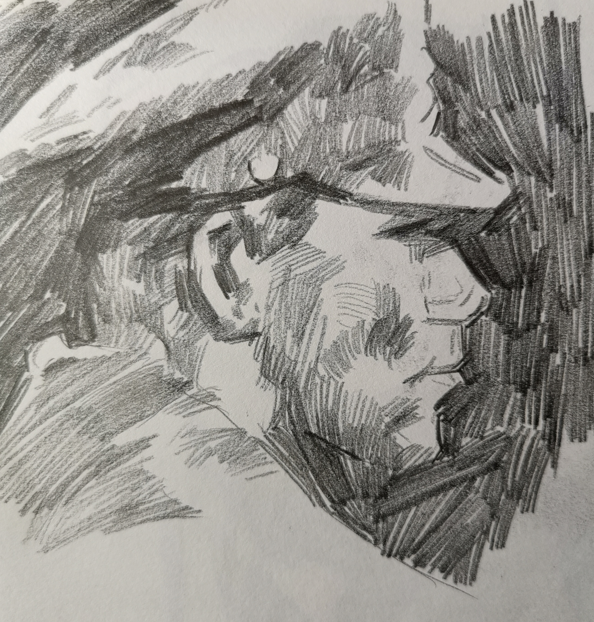 速写:学习使用自动铅笔画戴军帽的士兵头像